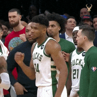 Giannis Antetokounmpo Sport GIF by Milwaukee Bucks