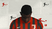 Happy Fc Augsburg GIF by Bundesliga