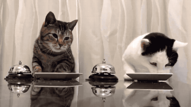 profusaodigital giphyupload GIF