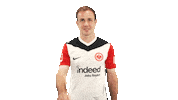 Knock Eintracht Frankfurt Sticker by Bundesliga