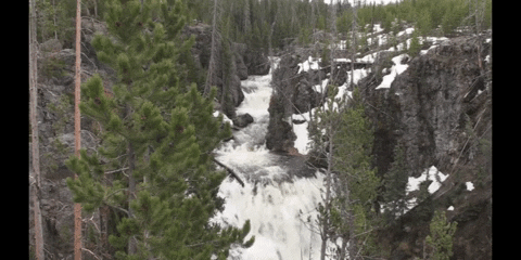 Education Biology GIF by DIIMSA Stock