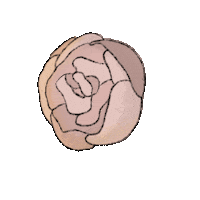 Flower Blooming Sticker