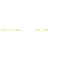 Panama Flow Sticker by Cerveza Panamá