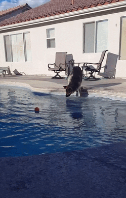 girl GIF