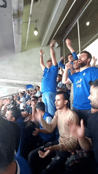 صادق راد GIF