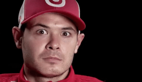 Kyle Larson What GIF by NASCAR