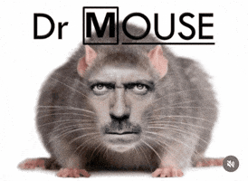 Dr House Brain GIF