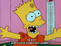 Season 1 GIF by The Simpsons