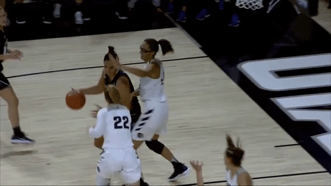 utah state womansbasketball GIF by USUAthletics