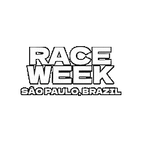 Formula 1 Race Sticker