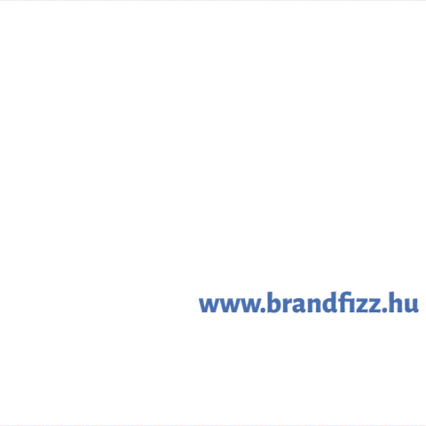 Employerbranding GIF by Brandfizz