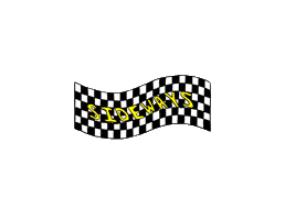 Flasher Sticker by Domino Recording Co.