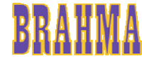 Dbhs Sticker by Brahma Tech