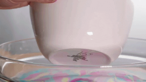 GIF by Good Morning America