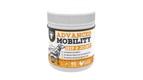 Petsproject giphyupload dogs cbd relief GIF