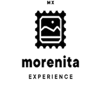 Traveling Mexico City Sticker by Morenita Experience