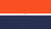 Uva Football GIF by Virginia Athletics