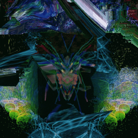 GIF by Leo Pyrata