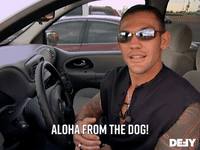 Aloha From The Dog!