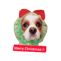Feliz Natal Christmas Sticker