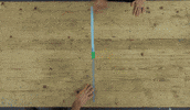 Train Amsterdam GIF by Rogier Wieland Studio