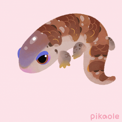 Blue Tongue Skink Reptile GIF by pikaole