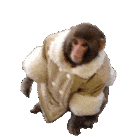 monkey STICKER by imoji
