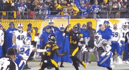 Regular Season Football GIF by NFL