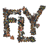 Text Fly Sticker by Dinaaaaaah