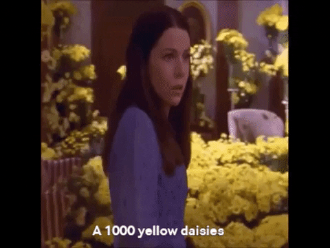 MegBiern giphygifmaker gilmore girls GIF