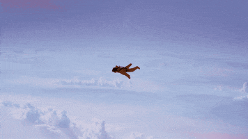 Pink Fly GIF by Petit Biscuit