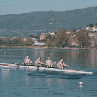 Tokyo Roeien GIF by AVROTROS