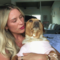 Cute Dog Cashew GIF by Respective