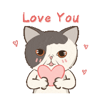 Love You Dan Sticker