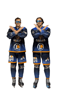 Celebration Goal Sticker by Hockey Club Châlonnais