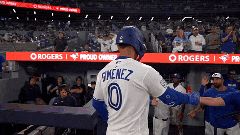 Blue Jays Baseball GIF by Toronto Blue Jays