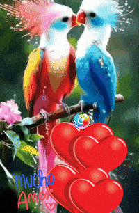 Feliz Flores GIF by Murcianys LLC