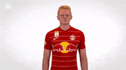 I Dont Believe It Come On GIF by FC Red Bull Salzburg