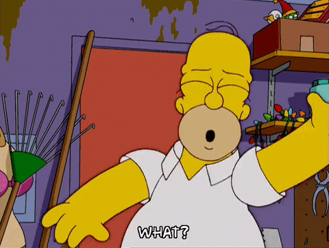 homer simpson what GIF