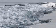 ice glass GIF