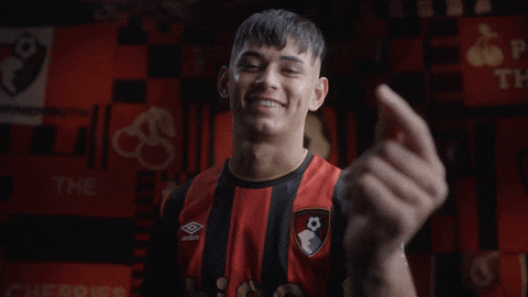 Premier League Football GIF by AFC Bournemouth