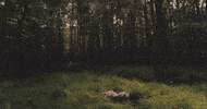 kelsey lu morning after coffee GIF
