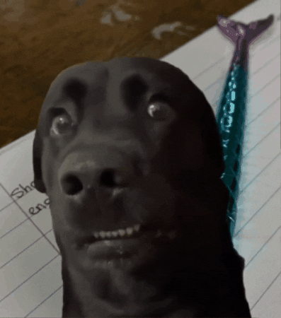 MemeHeist giphygifmaker inky pinky ponky meme gif GIF
