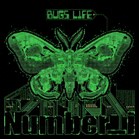 Bug Numberi GIF