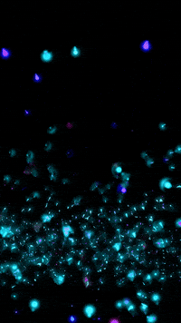 Art Glowing GIF by time