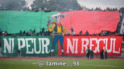 Ultras Marins GIF