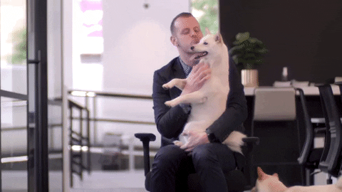 TheBiancaColasuonnoTeamCompass giphygifmaker GIF