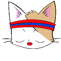 Sleep Sticker