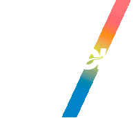 Ccc Occ Sticker by HOKA