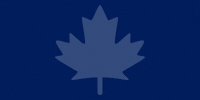 Toronto Maple Leafs GIF by PUCKerUp Sports